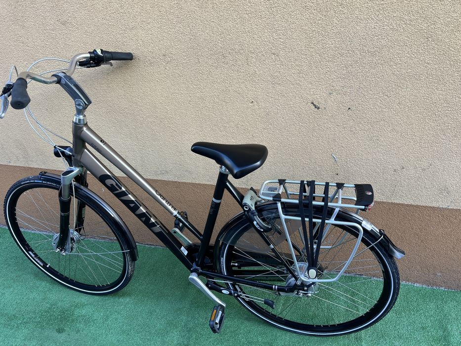 Rower Holenderski *GIANT FUTURO*