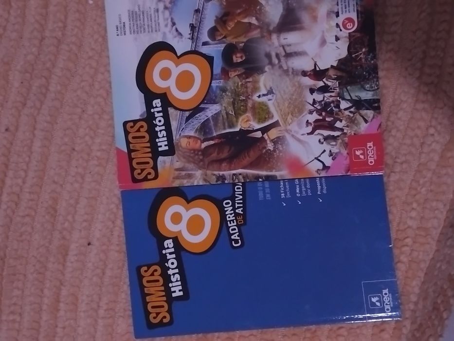Manuais e livros de fichas do 8°ano