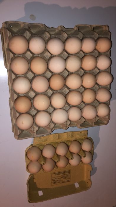 Naturalne swojskie wyroby od rolnika