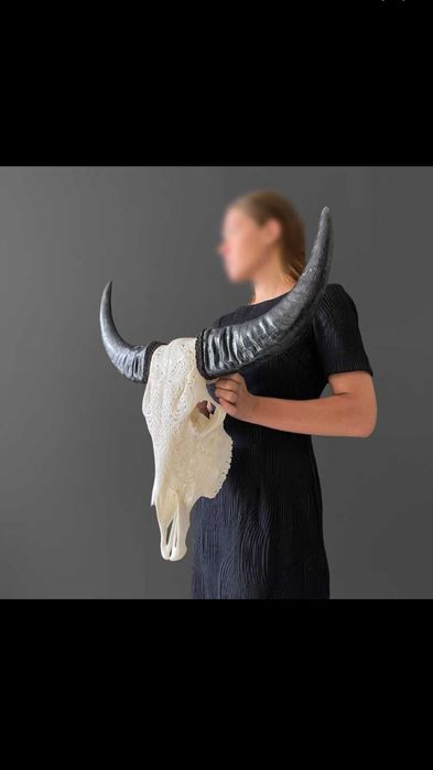 Crânio de búfalo esculpido à mão