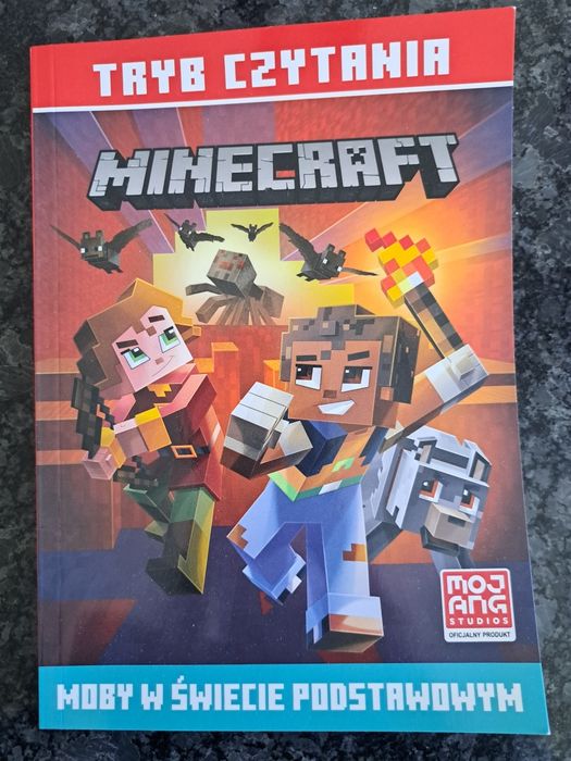 Książeczka do nauki czytania Minecraft
