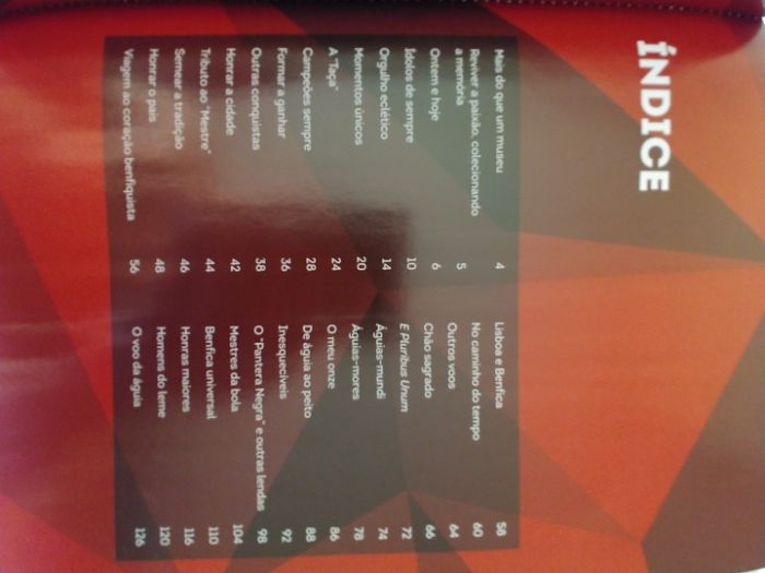 Livro do fã - Benfica