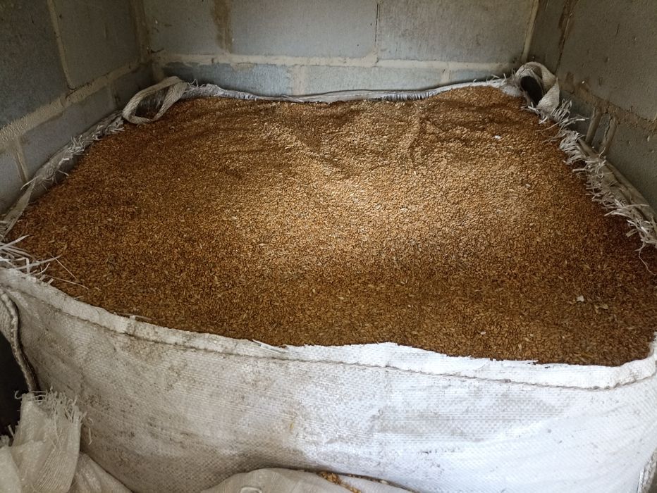 Продам пшеницю 2.5 –  3 тонни