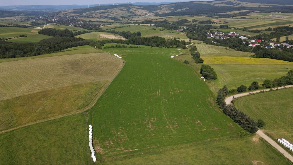 Działka/Pole rolne 3 ha - View 6
