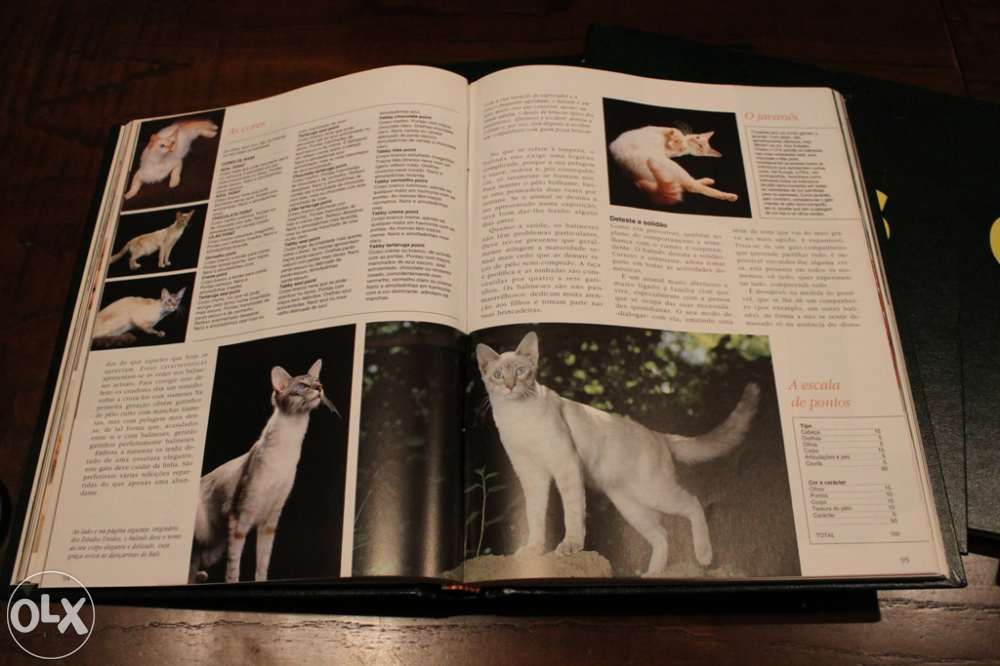 Enciclopédia sobre gatos "Os nossos amigos os Gatos"
