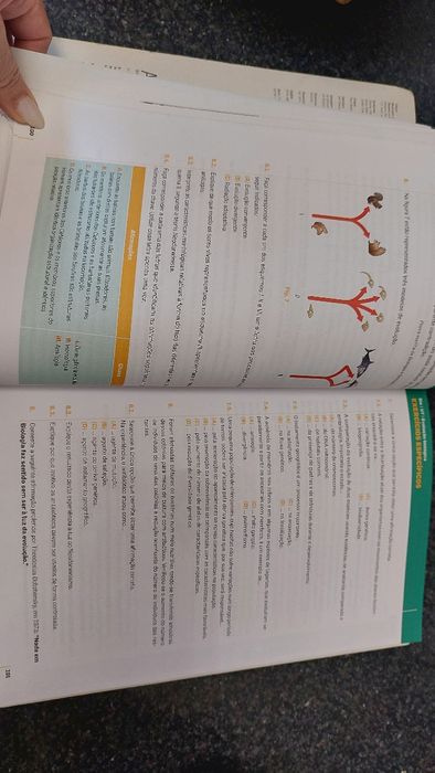 Testes e Exames Biologia e Geologia