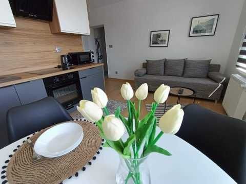Apartament do wynajęcia na godziny! 130 zl ! Katowice