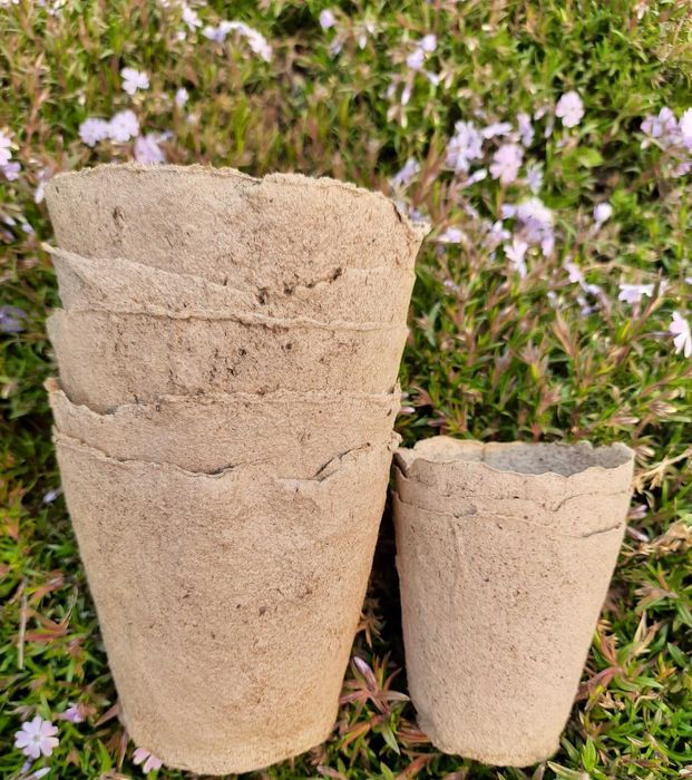 Торфяні стаканчики 80х80
