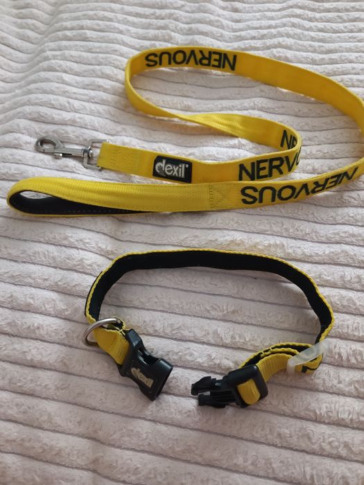 Проводок с ошейником DEXIL Nervous