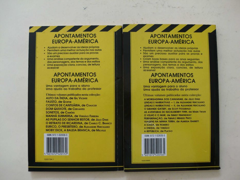 Explicam  Fernando Pessoa - Mensagem / Eça de Queirós - Os Maias