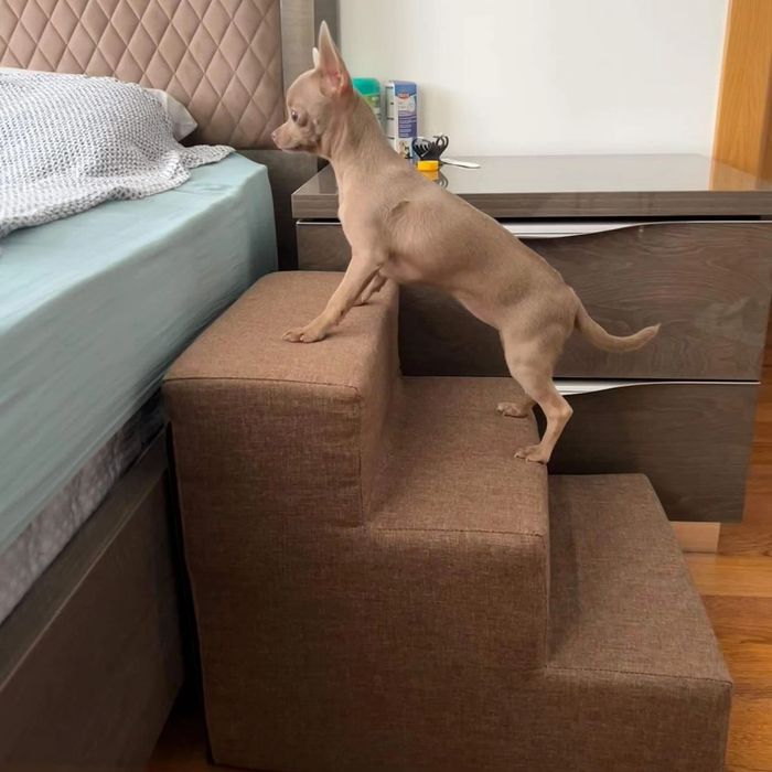 Сходинки для собак  - різна висота