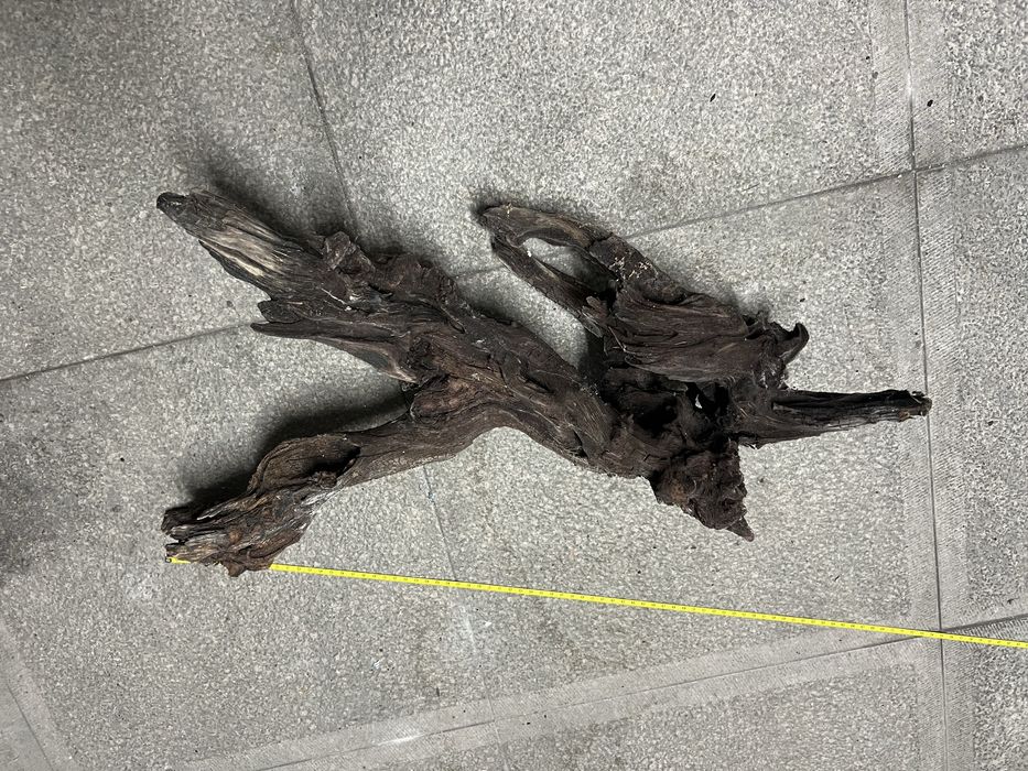 Troncos para aquario