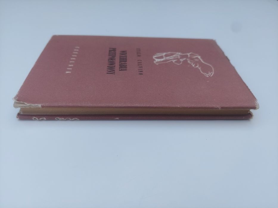 Italo Calvino - Wicehrabia Przepołowiony
