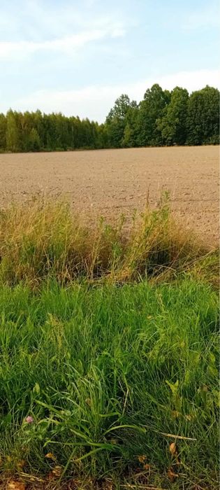 Sprzedam ziemie 9200m2