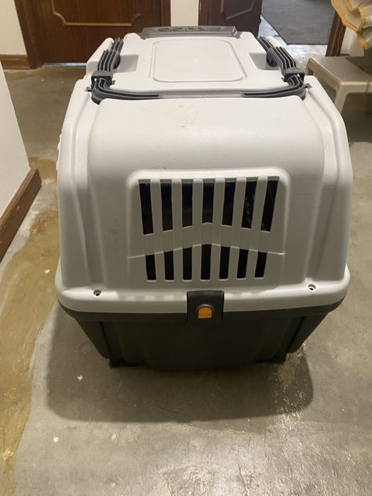 Caixa transpoerte para cao