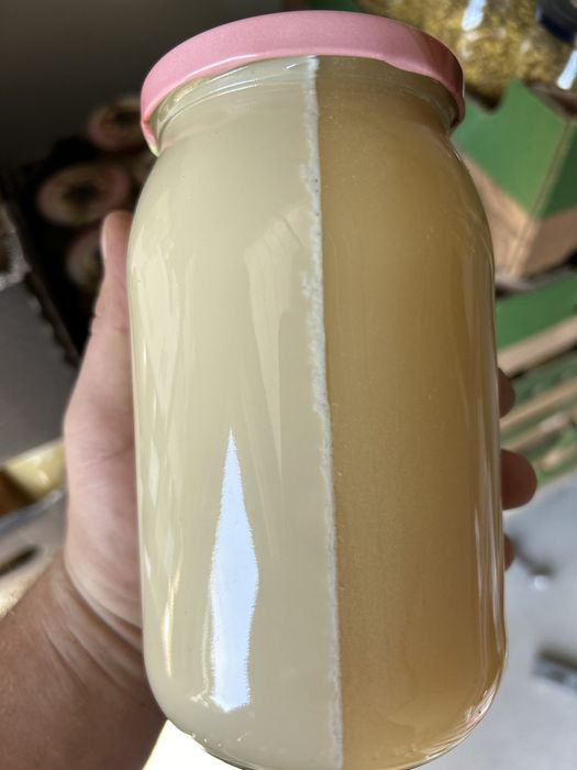 Pyłek pszczeli 500g sloik 900ml