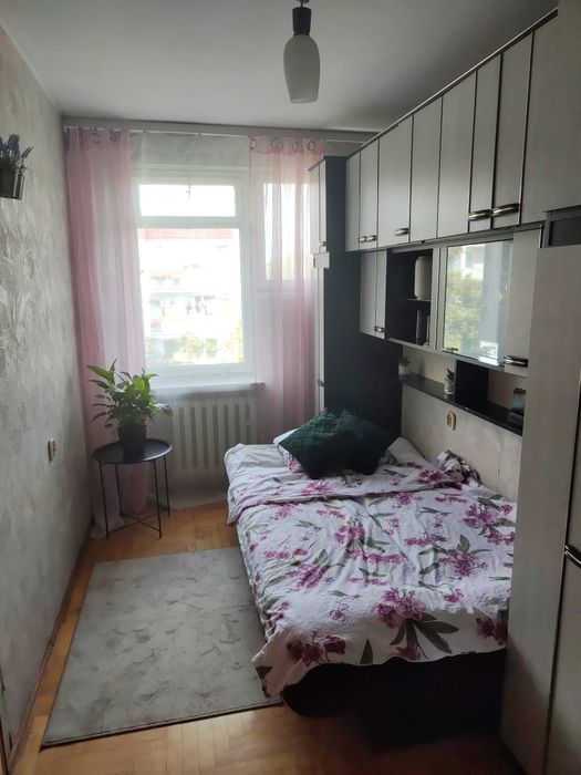 Zdjęcie 5