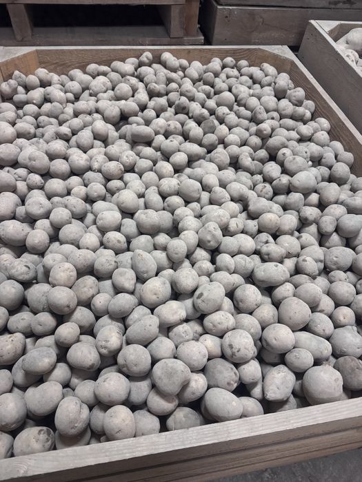 Ziemniaki Mazur drobne