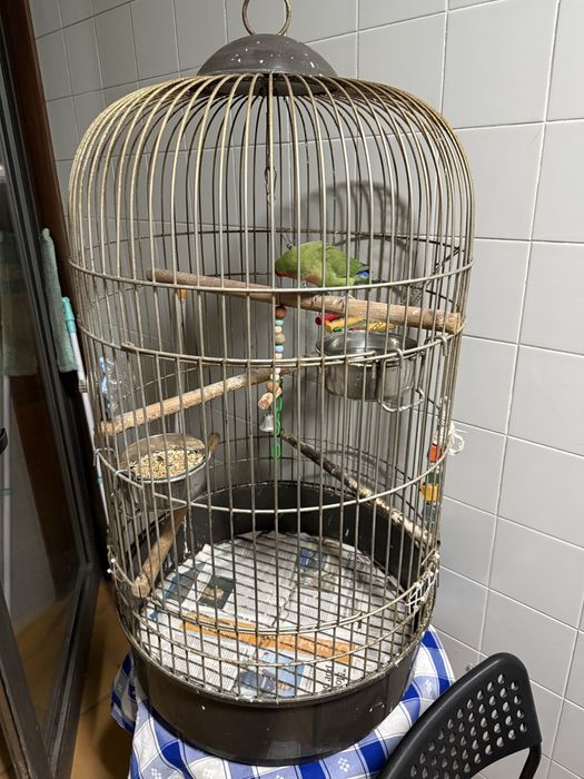 vendo gaiola de passaros