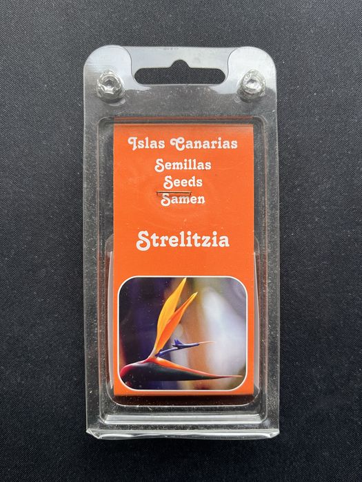 Pojedyncze nasiono strelicji