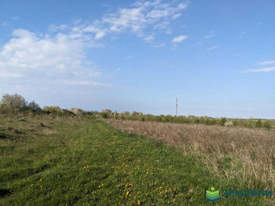 Продається ділянка під будову 14.33 сот Тязів (8)