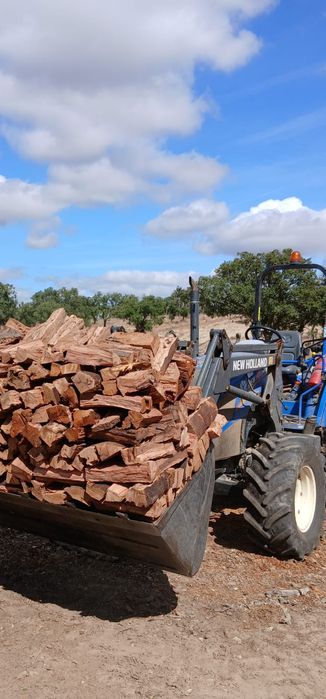 Lenha rachada sobro64737844069633122