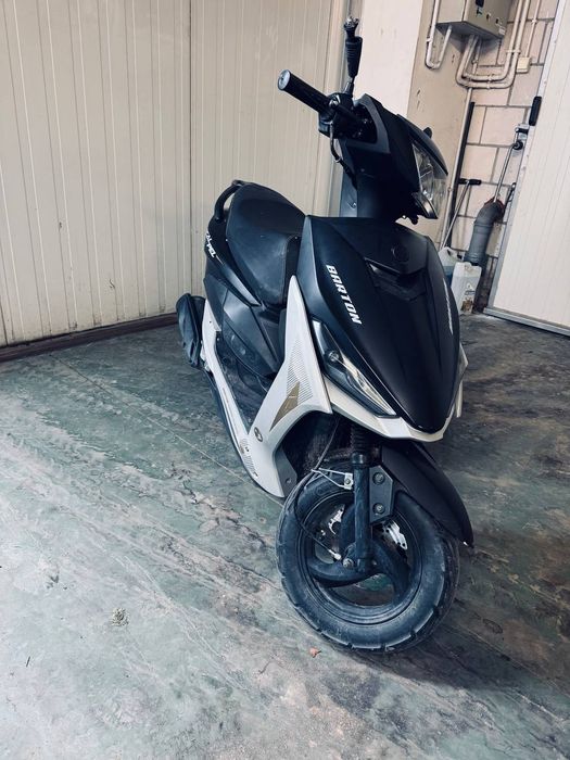 Barton 50 cm 2022 rok