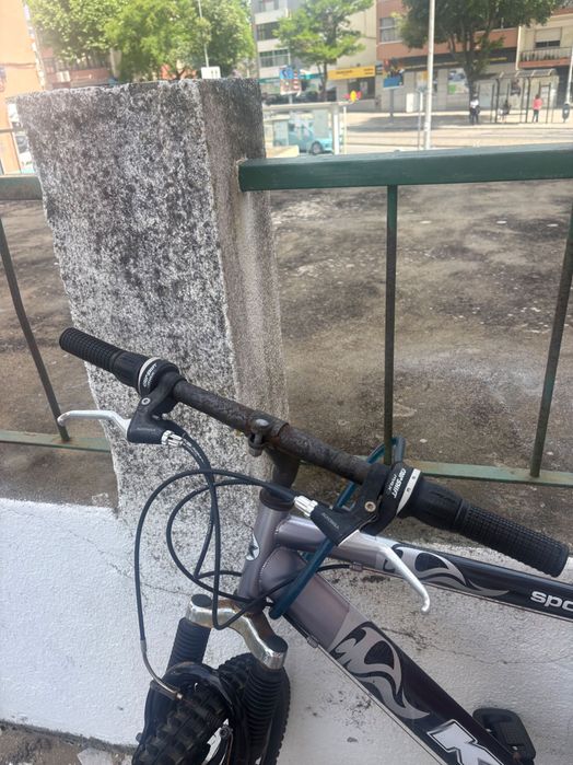 Bicicleta sport 100