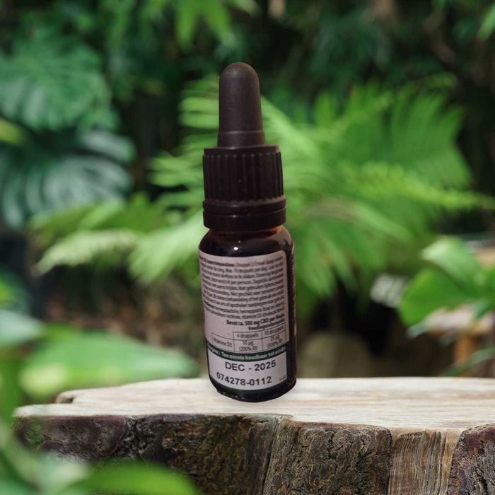 Jacob Hooy CBD Olej 5% + Witamina D3 (10ml)