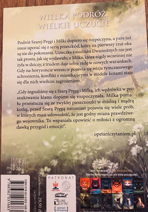 Książki wojownicy szara pręga