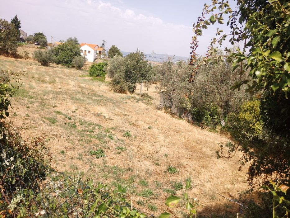 Casa rústica para reconstrução Linhares (Celorico da Beira)