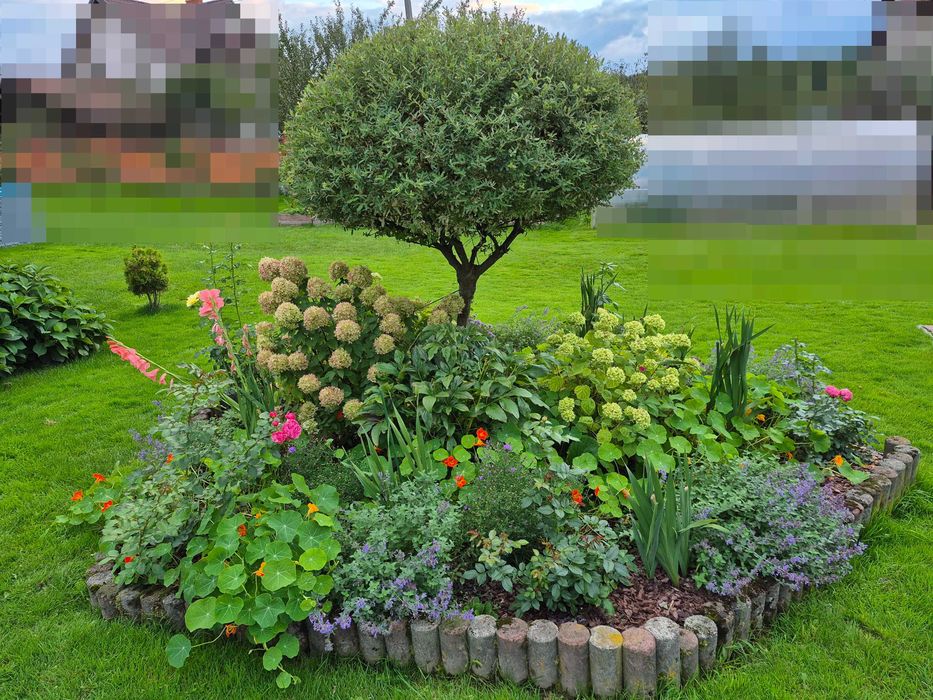 Садові роботи Трускавець, Дрогобич, Стебник, Борислав та поряд (стрижки, обрізки, обробки)