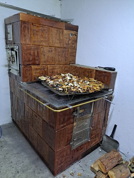 Prawdziwki suszone na kuchni kaflowej
