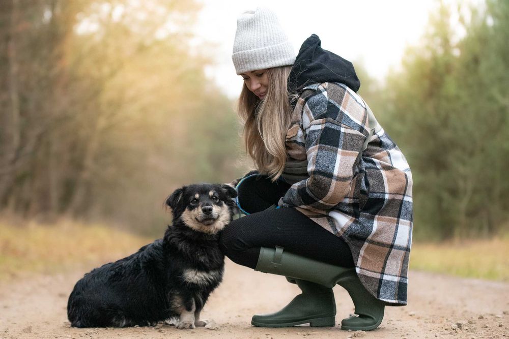 Lawa - piękna, mała suczka szuka swojej rodziny