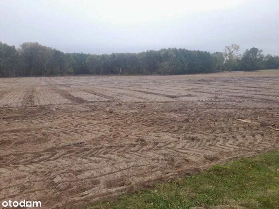 Działka budowlana 1000 m² pod miastem - Widok 2