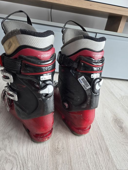 Buty narciarskie Dalbello