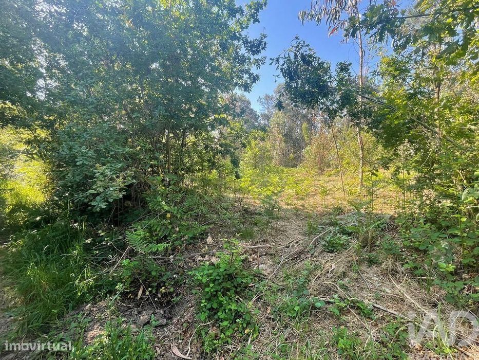 Terreno em Vila de Punhe de 4388,00 m2
