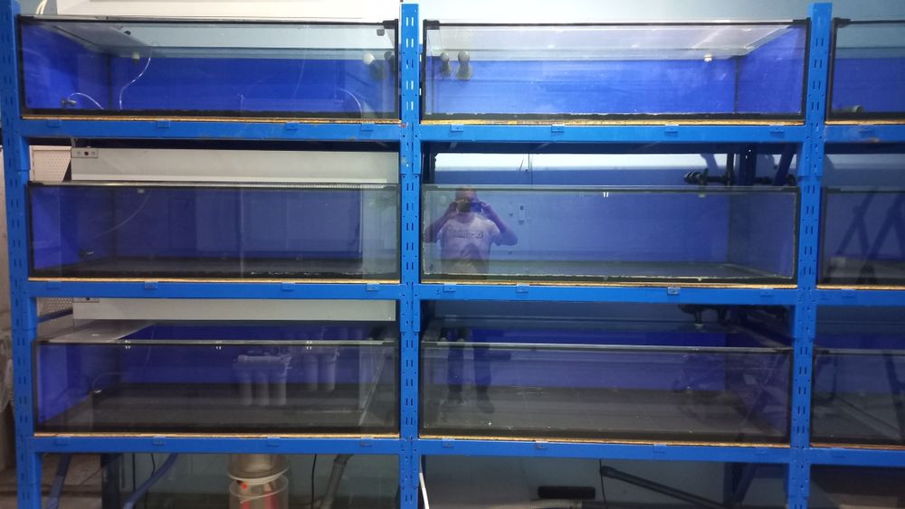 Продам аквариумы 9 шт 140*60*40