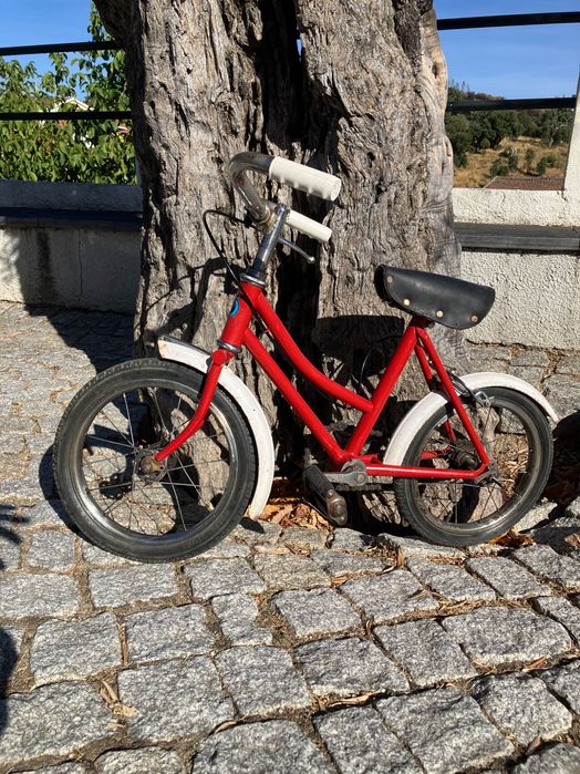 Bicicleta ucal primus