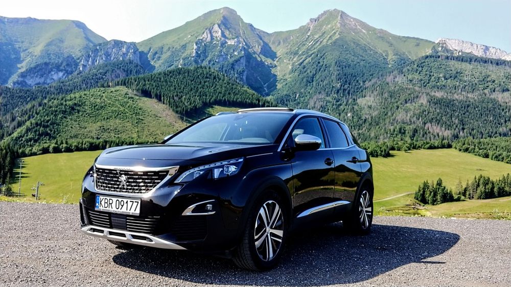 Transport Kierowca VIP Prywatny Szofer