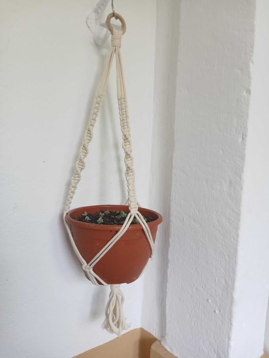 Suporte para plantas