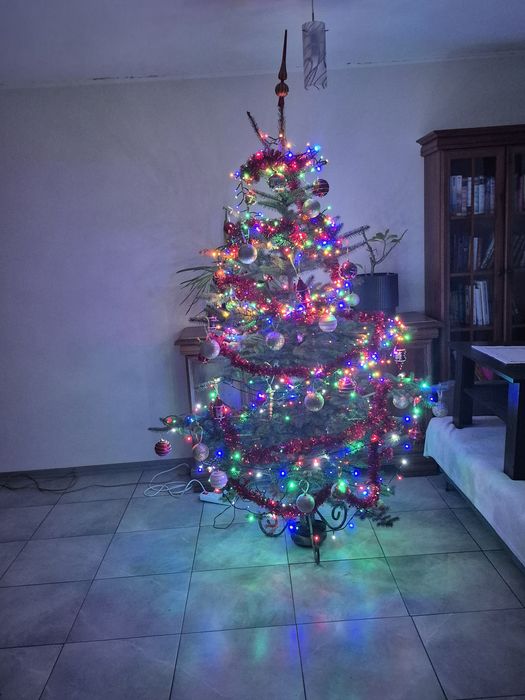 Pokoje  pod  dębem  dla  gości  I pracownikow