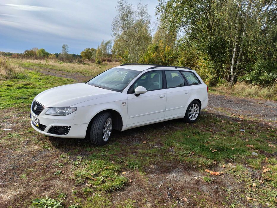 Seat Exeo