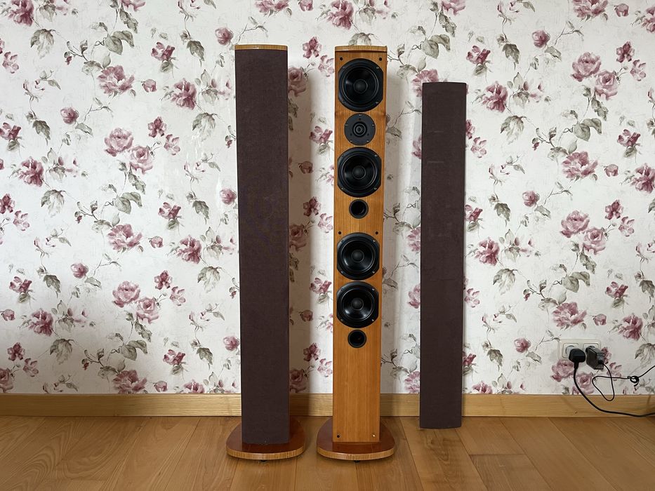 Hi End акустика T+A LGS 10 Lignim