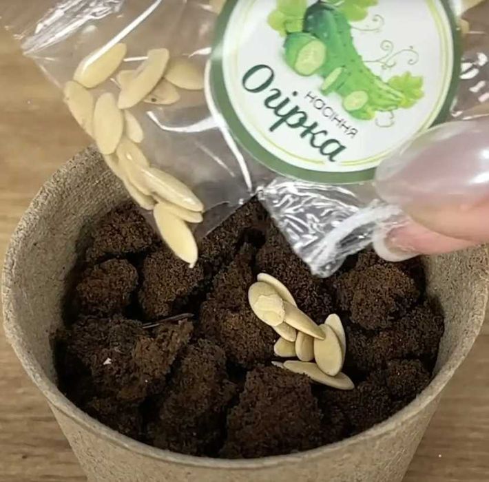 теплиця дитяча ботанічні експерименти 4fan тепличка з поливом