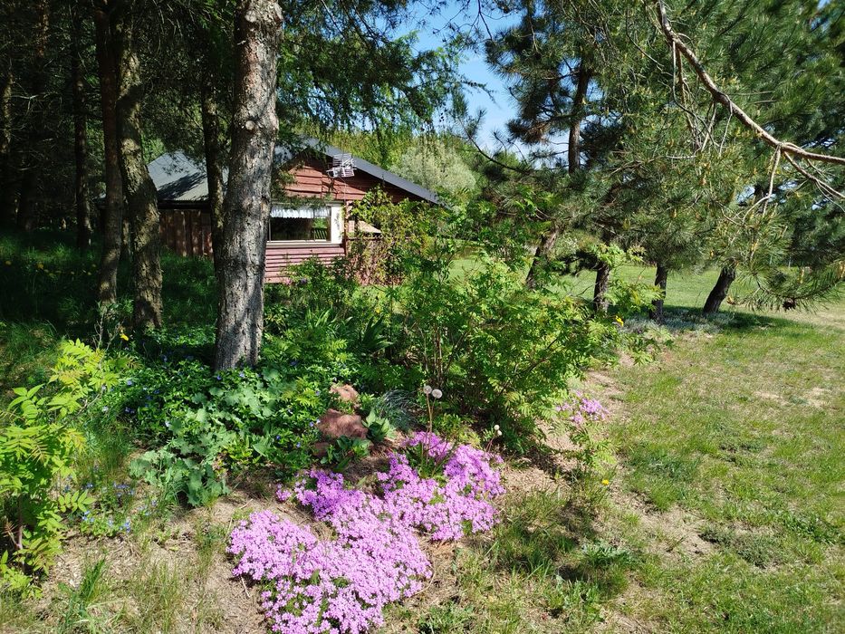 Zapraszam! Domki nad jeziorem i stawami.