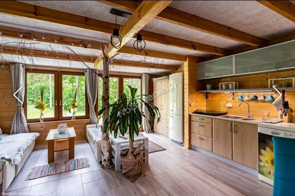 Domek z Jacuzzi Dębowy, Kaszuby wakacje staw, kominek, balia, nocleg