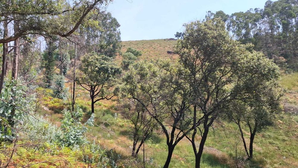 Terreno na Póvoa de Lanhoso
