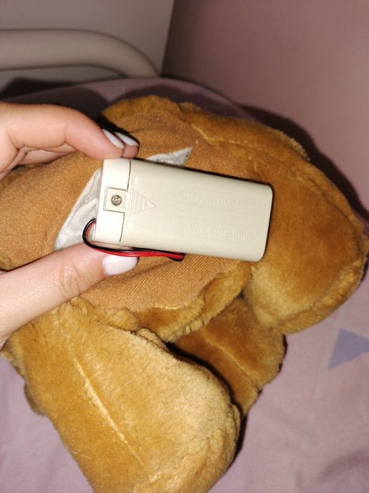 Cão  de  peluche