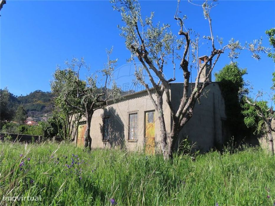 Quinta  para venda — Louriçal do Campo, Castelo Branco